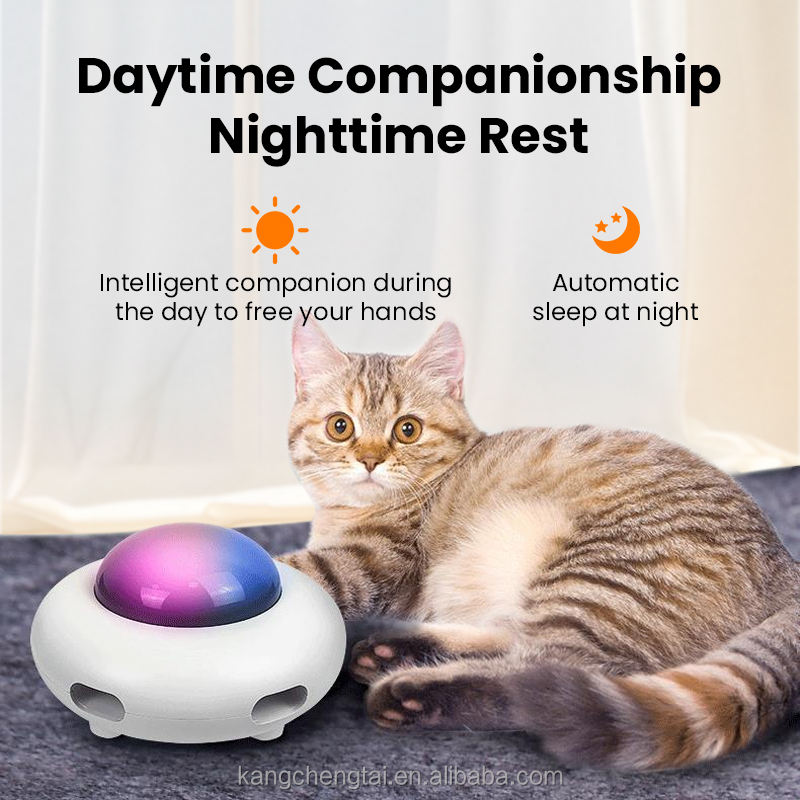 Interactive Eco-Friendly Cat Teaser Toy