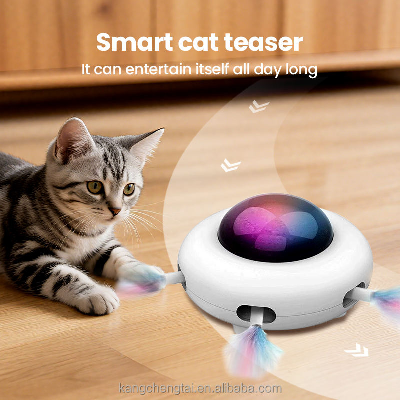 Interactive Eco-Friendly Cat Teaser Toy