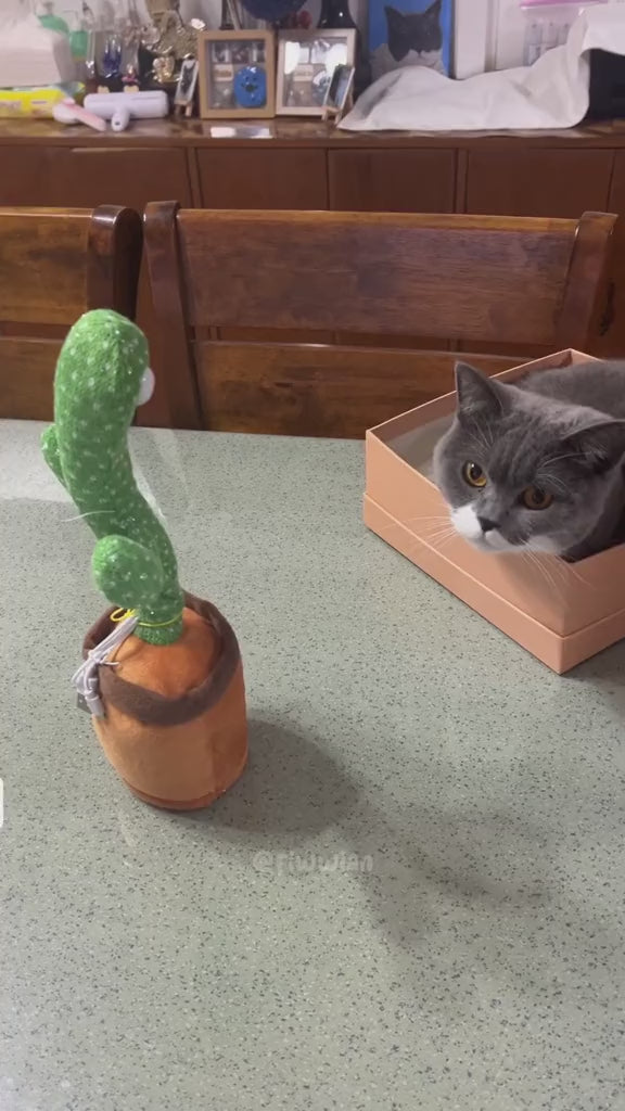 Dancing cactus pet toy
